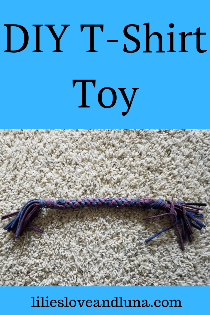 How To Make A DIY TShirt Dog Toy Lilies, Love, and Luna