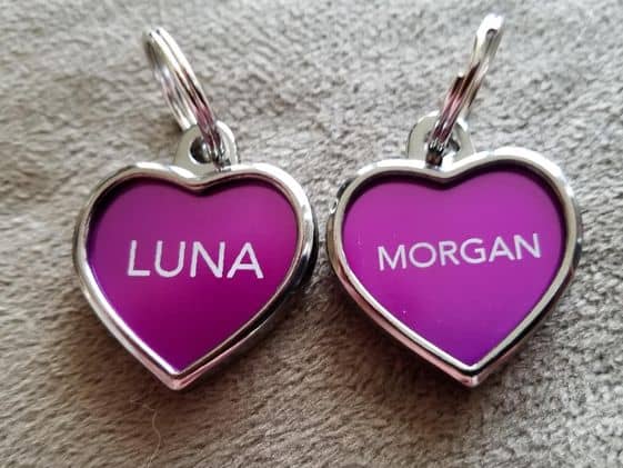 Heart shaped dog id tags with the names Luna and Morgan engraved on them.