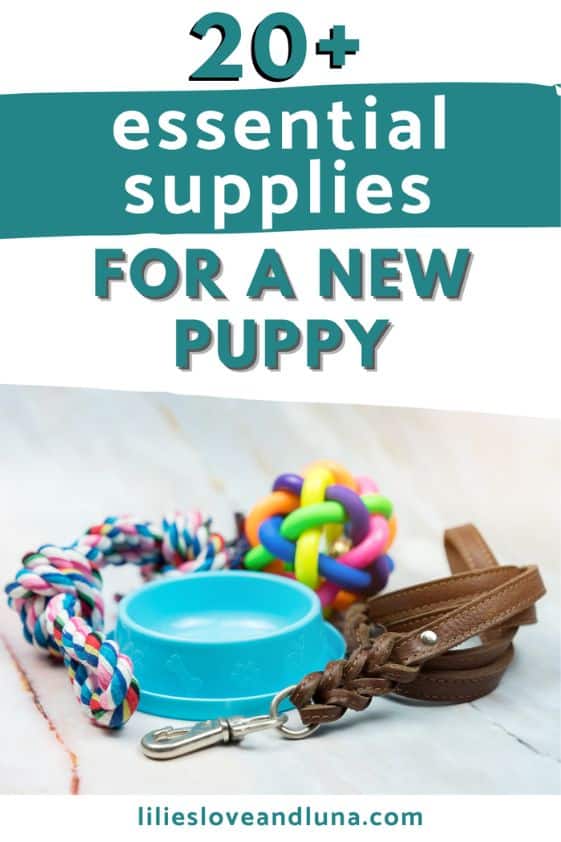 Pin image for 20+ essential supplies for a new puppy with a tug toy, ball, bowl, and leash.