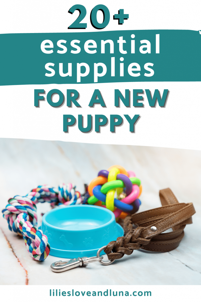 Supplies needed for clearance puppy