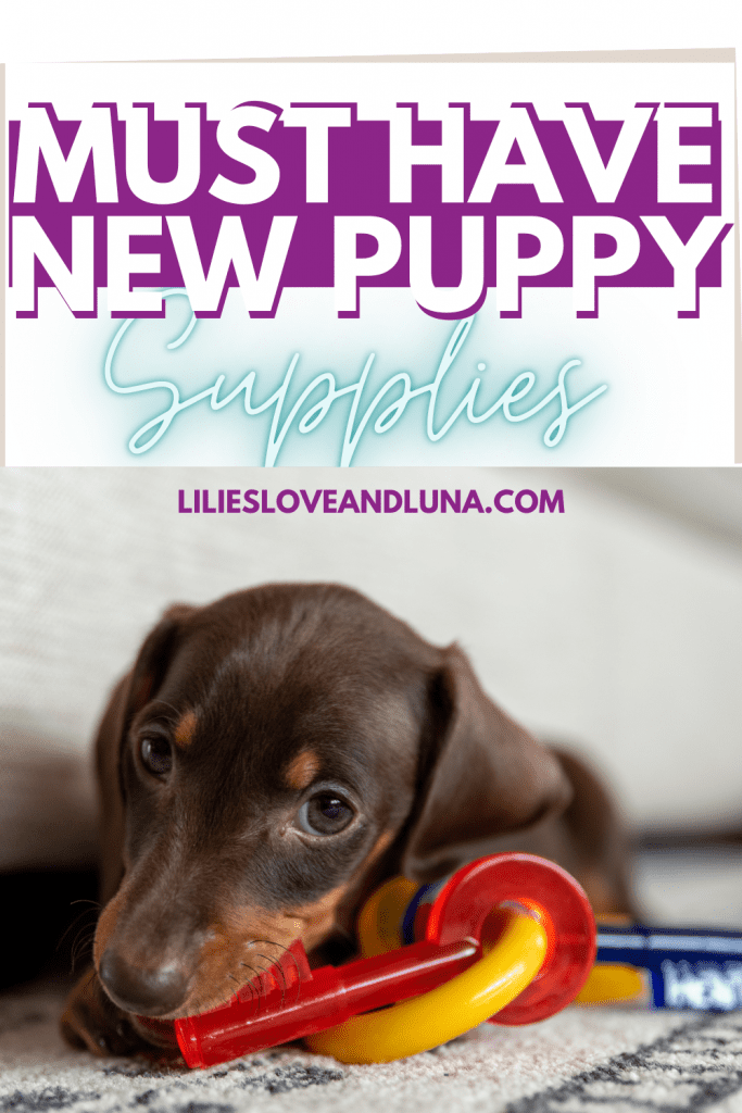 Pin image for must have new puppy supplies with a puppy chewing on a chew toy.