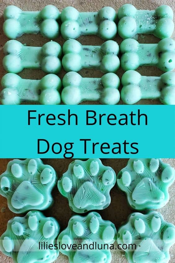 Lort Smith - DOG BOREDOM BUSTER TIP #4 Ice cube treats make for a