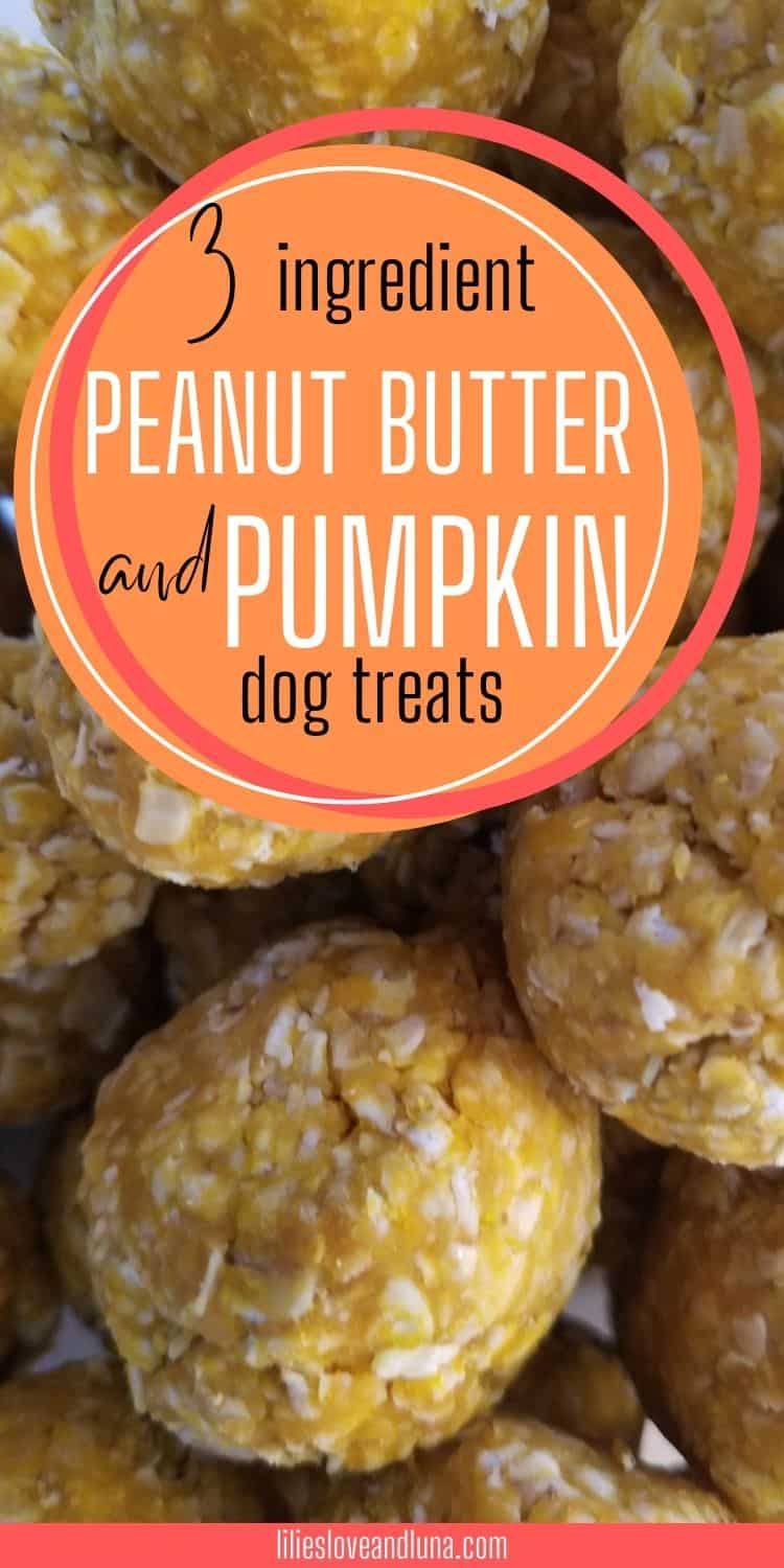 Pin image of peanut butter and pumpkin dog treat balls with a text overlay that reads 3 ingredient peanut butter and pumpkin dog treats.