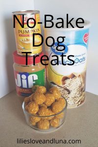 No-Bake Peanut Butter And Pumpkin Dog Treats - Lilies, Love, And Luna