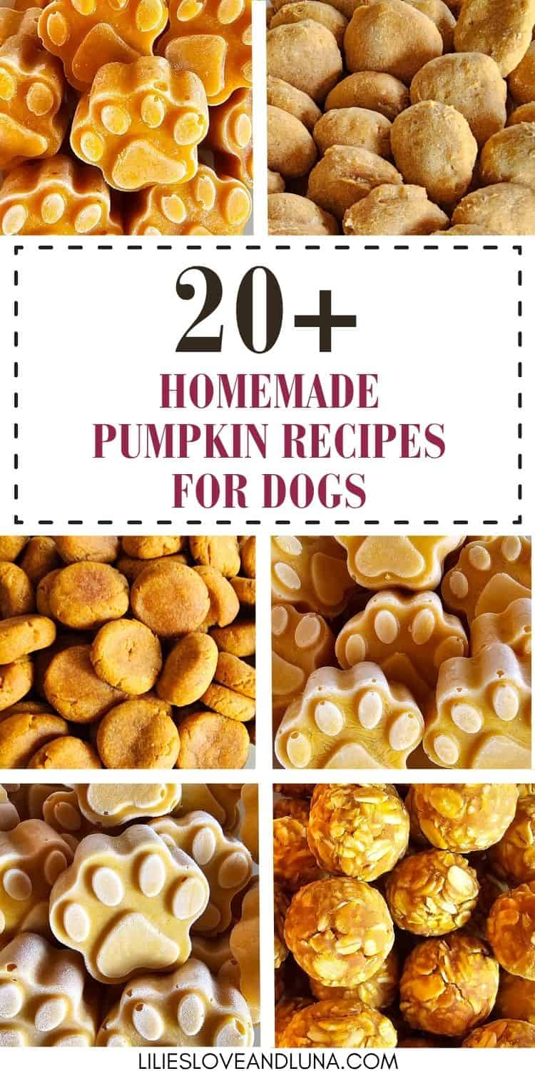 A collage of various homemade dog treats, including pumpkin-flavored biscuits and snacks, with a title showcasing "20+ Homemade Pumpkin Recipes for Dogs."