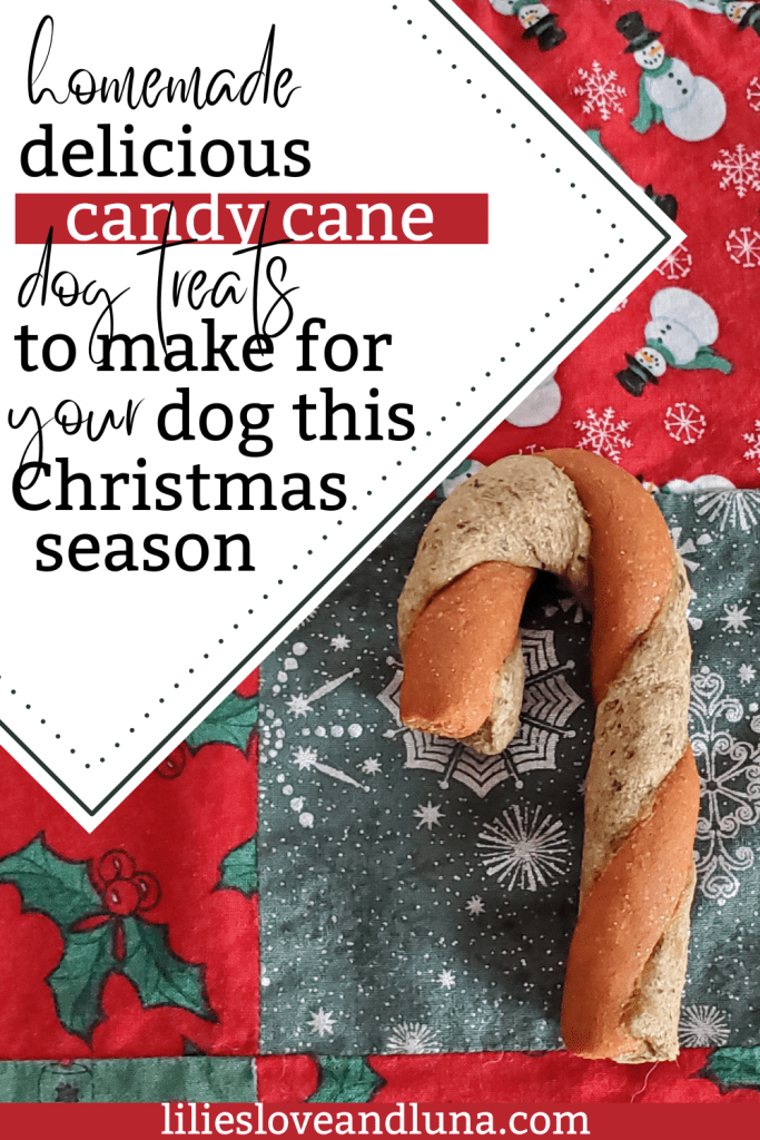 Pin image for homemade delicious candy cane dog treats to make for your dog this Christmas season with an image of a candy cane dog treat on a Christmas background.