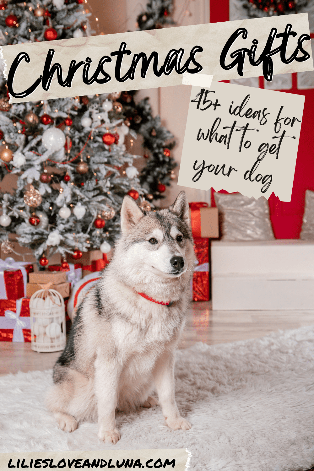 Gifts For Dog Lovers Best Dog Christmas Gifts Best Christmas Gift