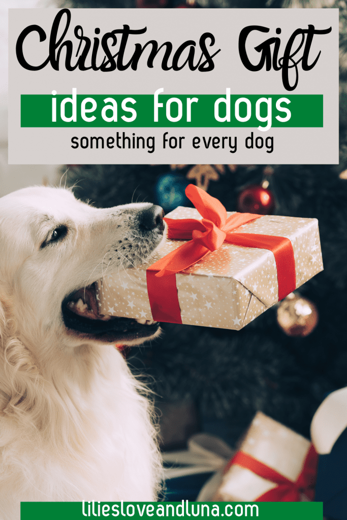 Pin image for Christmas gift ideas for dogs, something for every dog with a dog holding a Christmas gift in its mouth in front of a Christmas tree.