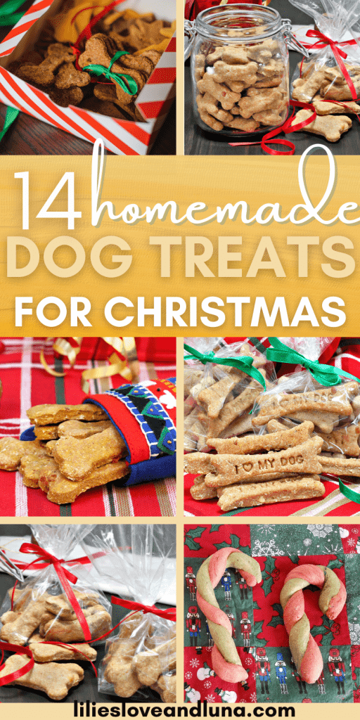 14 homemade dog treats for Christmas pin