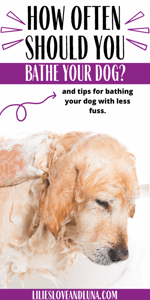 is bathing your dog bad