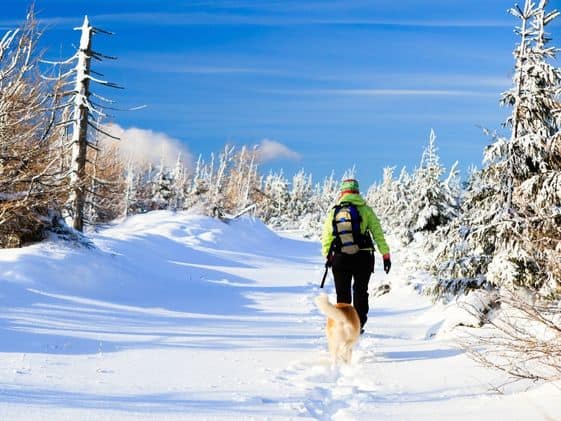 A person hiking in the snow with a dog.