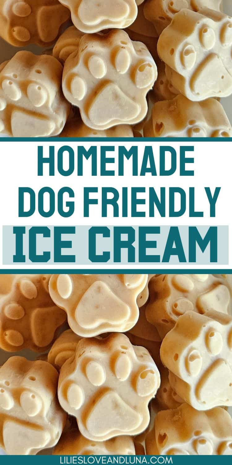 A close-up view of paw-shaped homemade dog ice cream treats made with yogurt, ideal for dogs.