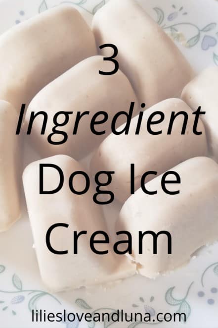 Pin image of 3 ingredient dog ice cream.