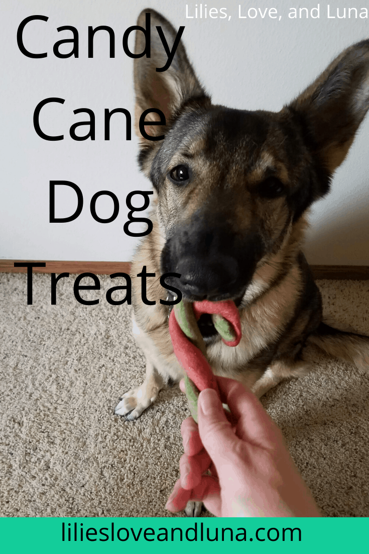 Candy Cane Dog Treats Lilies, Love, and Luna