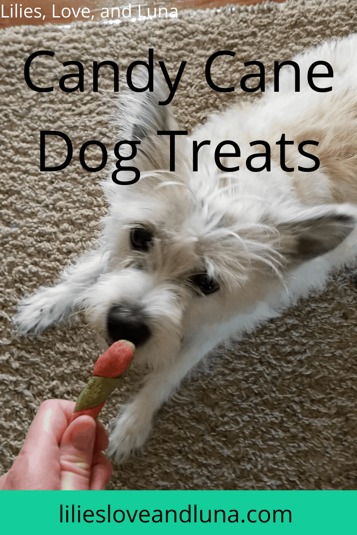 Candy Cane Dog Treats Lilies, Love, and Luna