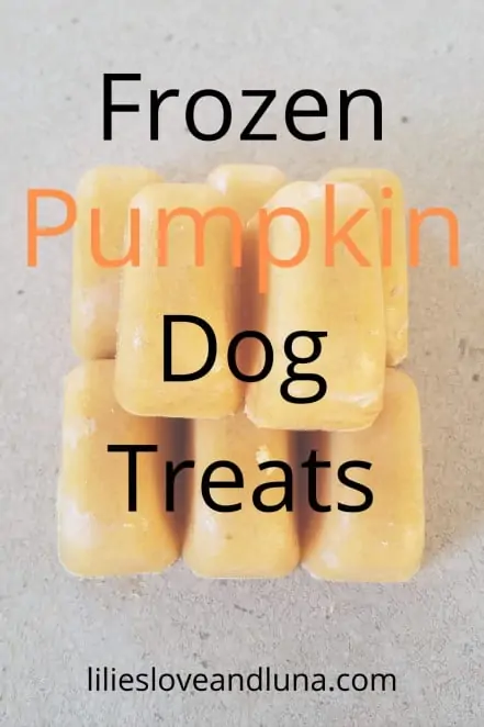 Pin image of frozen pumpkin dog treats.