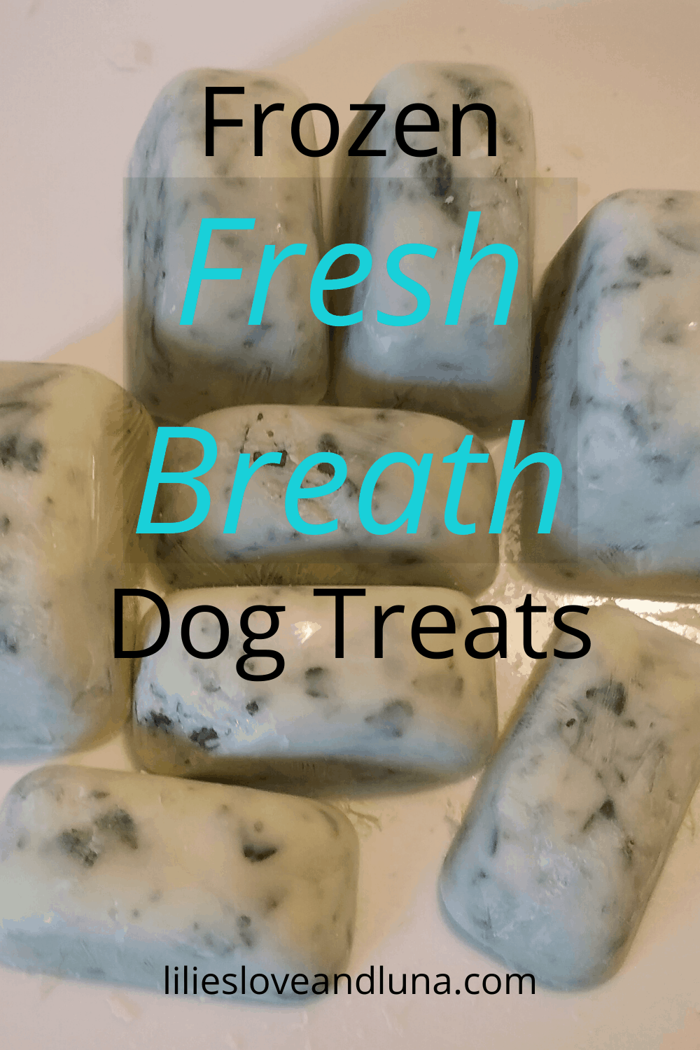 Homemade Frozen Fresh Breath Dog Treats - Lilies, Love, and Luna