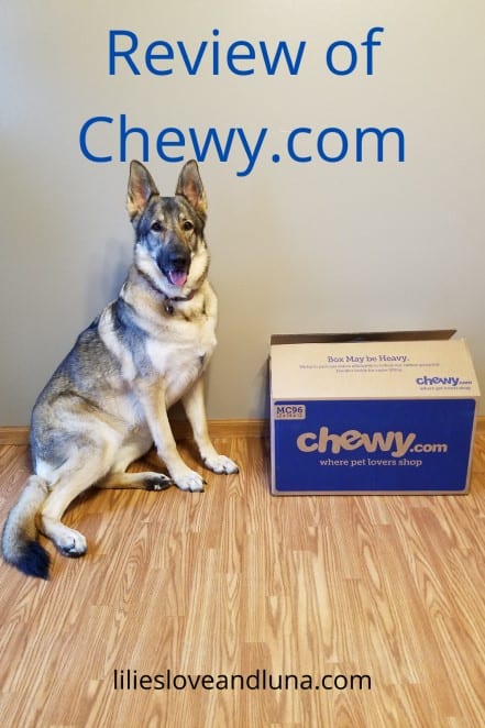 A pin image of a German shepherd next to a Chewy.com box below the words review of Chewy.com.