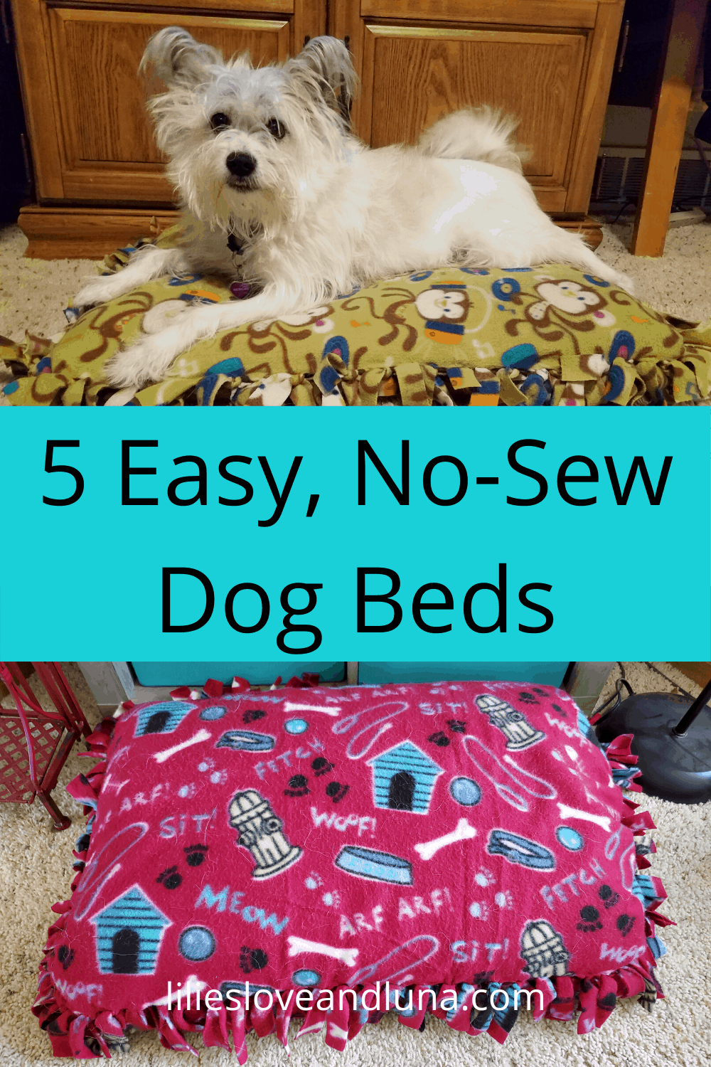 No Sew Pet Beds Easy DIY Ideas for Your Furry Friends Lilies, Love
