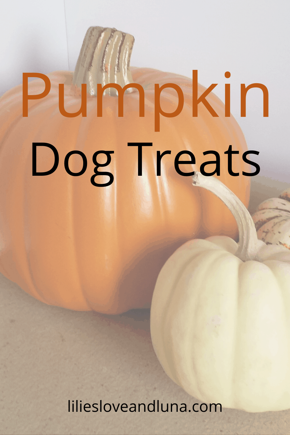 homemade-pumpkin-dog-treats-peanut-free-simple-homemade-dog-treats