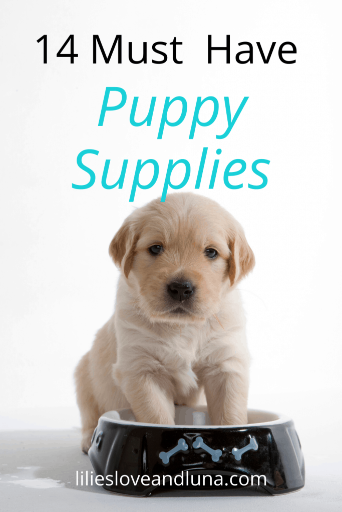 15 Must Have Puppy Supplies Lilies, Love, and Luna