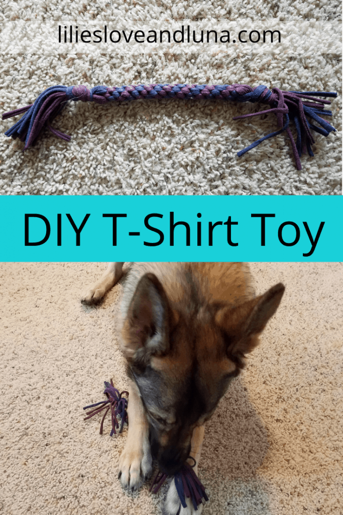 5 Different DIY No-Sew T-Shirt Dog Toys - Sew Historically