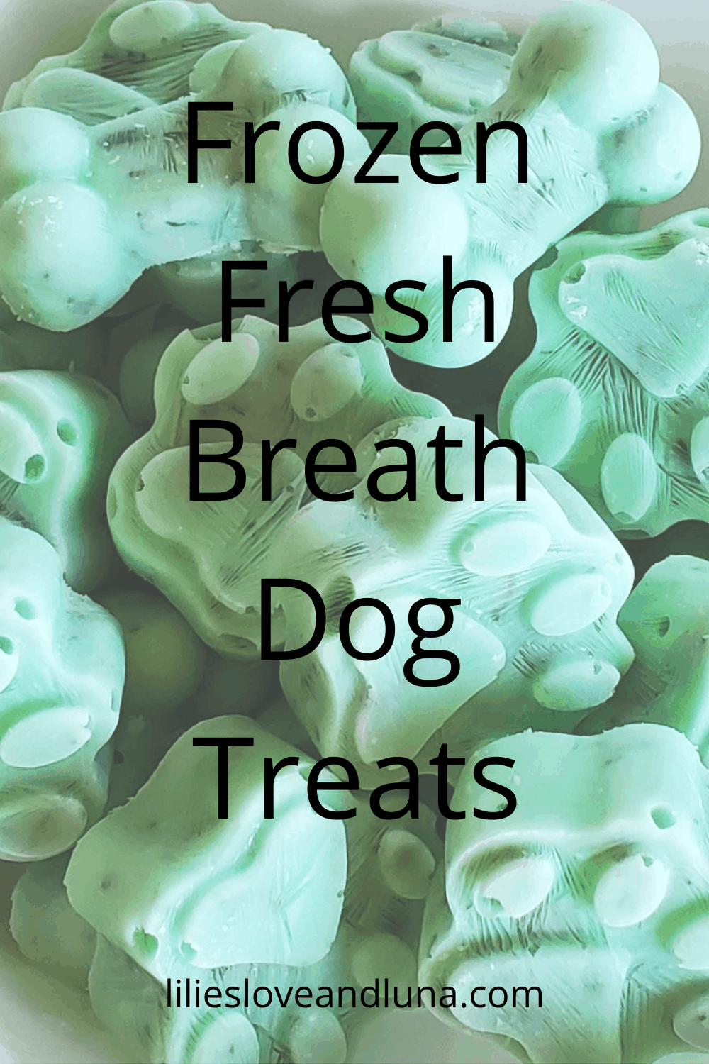 Homemade Frozen Fresh Breath Dog Treats Lilies, Love, and Luna