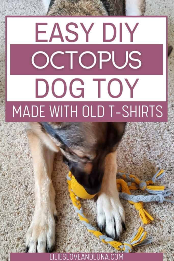 A German Shepherd playing with a tennis ball t-shirt toy with a text overlay that reads easy diy octopus dog toy made with old t-shirts.