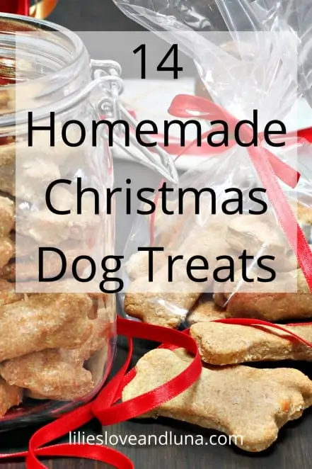 Pin image of 14 Homemade Christmas Dog Treats.