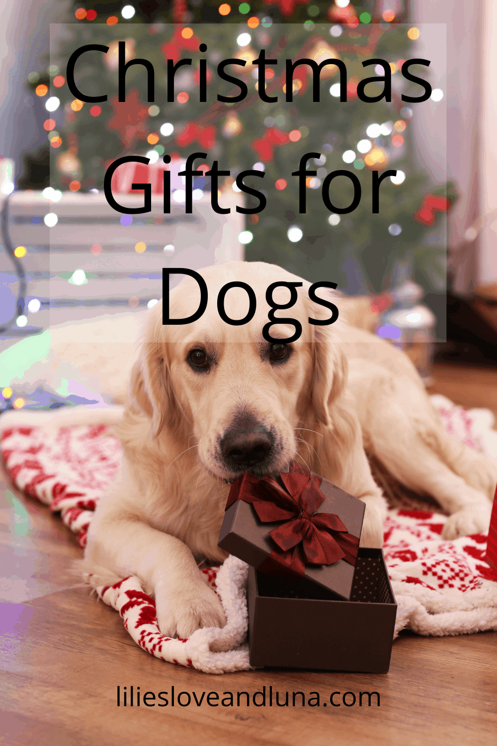Christmas Gift Ideas for Your Dog Lilies, Love, and Luna