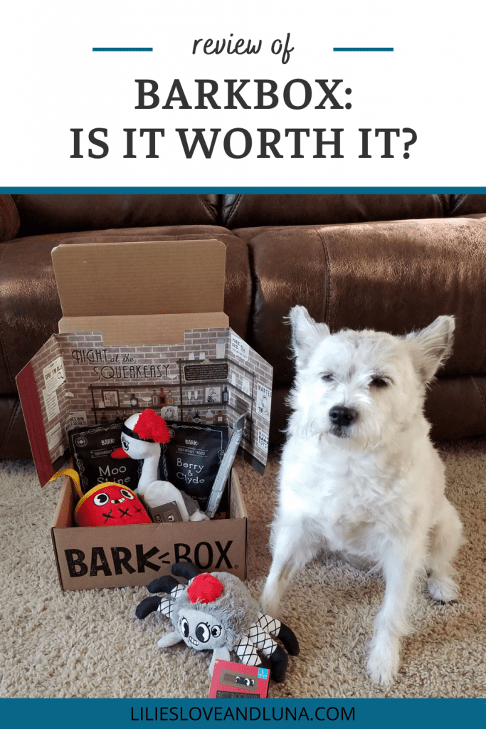 Pin image of a review of BarkBox: Is It Worth It? with a small white dog sitting next to an open barkbox showing the toys that came in it.