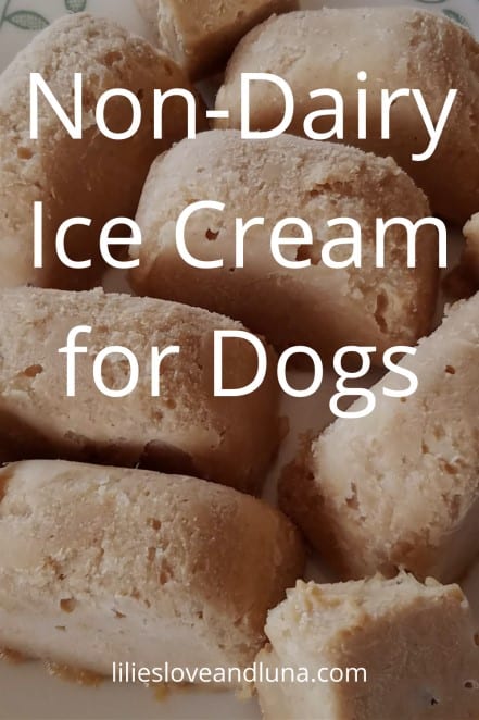 Pin image of non-dairy ice cream for dogs.