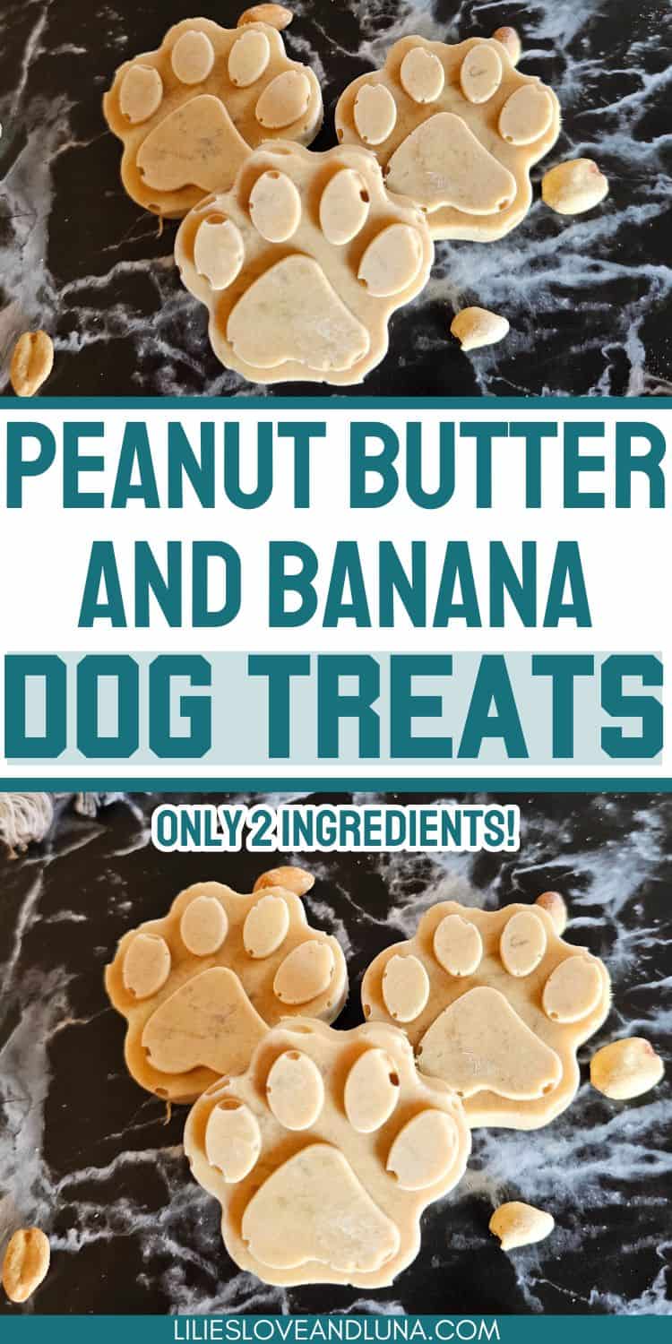 BEST DAIRY FREE DOG ICE CREAM RECIPE visual data 7