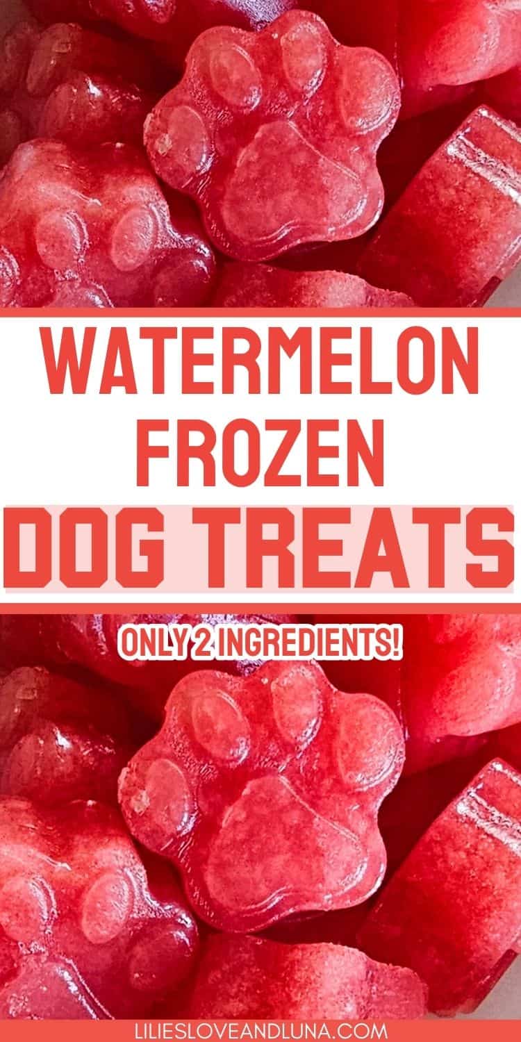 A close-up image of paw-shaped frozen watermelon dog treats made with only two ingredients.