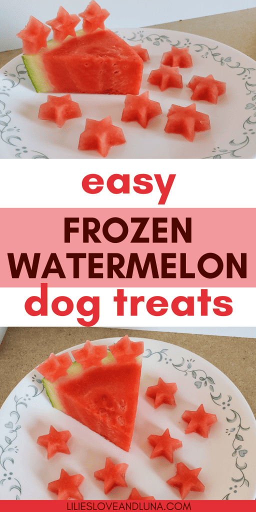 Homemade Frozen Watermelon Dog Treats (Pupsicles) • Daisybeet