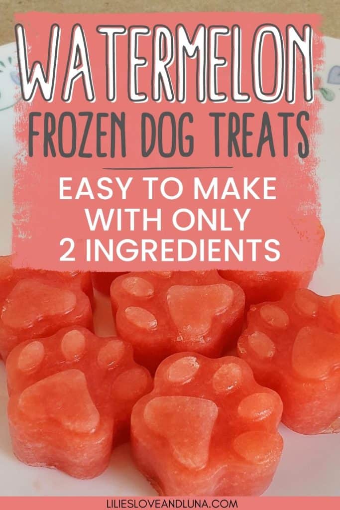 Watermelon Dog Treat Popsicles - Barefeet in the Kitchen
