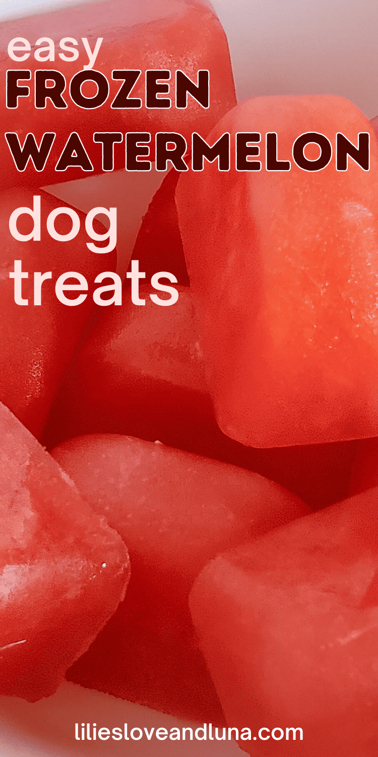 Pin image of frozen watermelon dog treats with a text overlay that reads easy frozen watermelon dog treats.