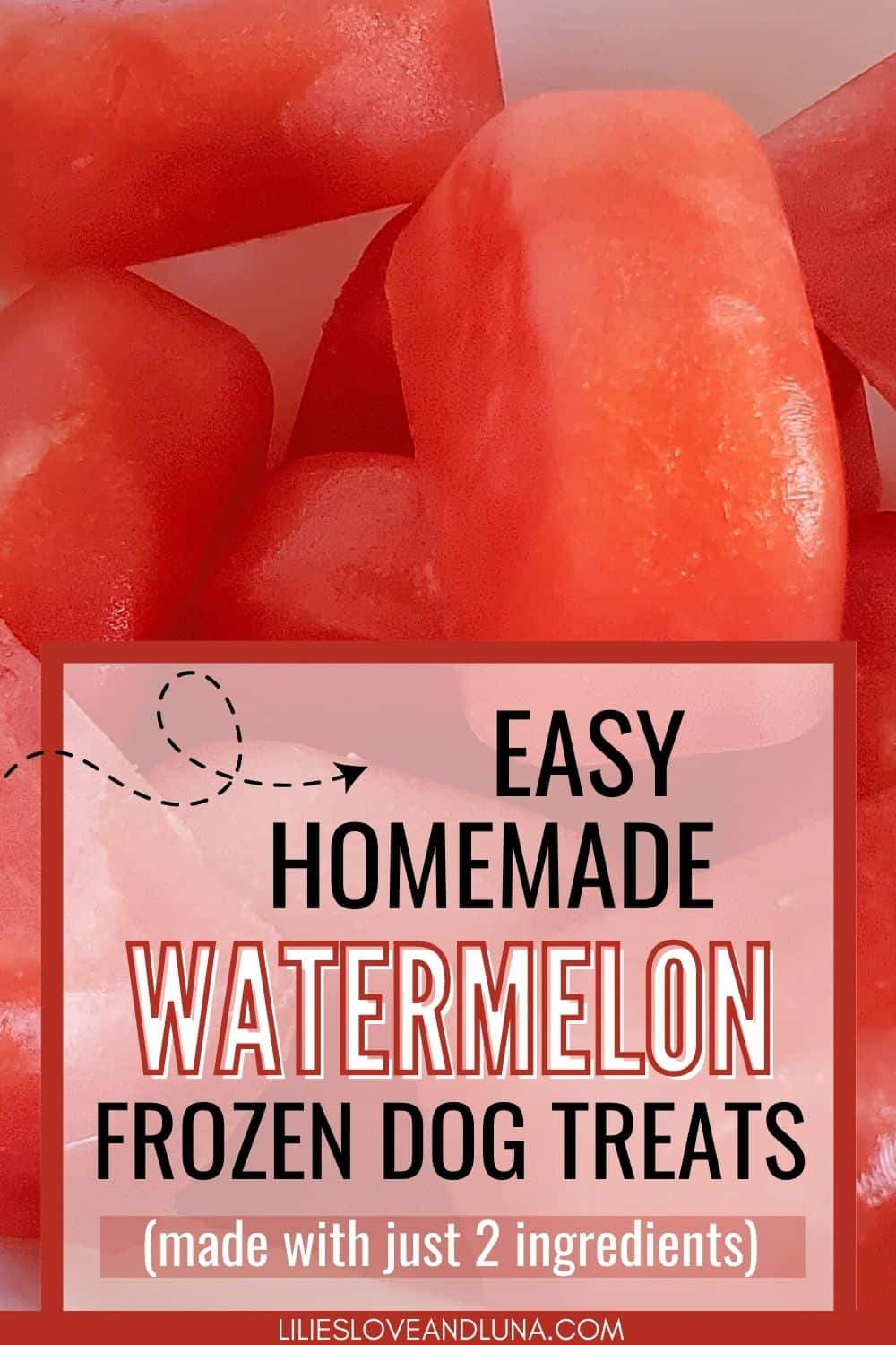 Pin image of frozen watermelon dog treats with a text overlay that reads easy homemade watermelon dog treats made with just 2 ingredients.