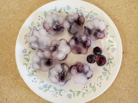 Paw shaped frozen fruit dog treats.