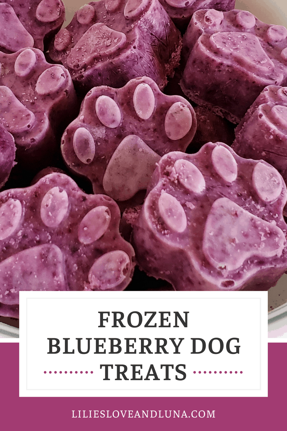 Frozen Blueberry Dog Treats Lilies, Love, and Luna