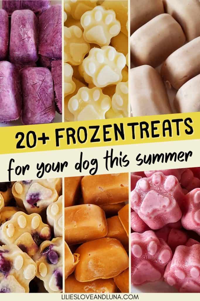 A collage of frozen dog treats with the text "20+ frozen treats for your dog this summer."