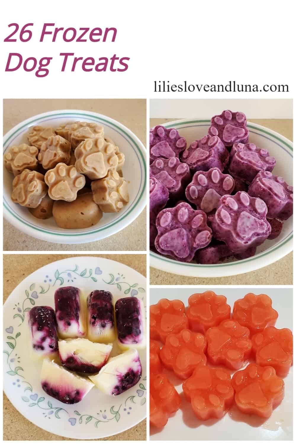 The words 26 frozen dog treats with a variety of frozen dog treats pictured.