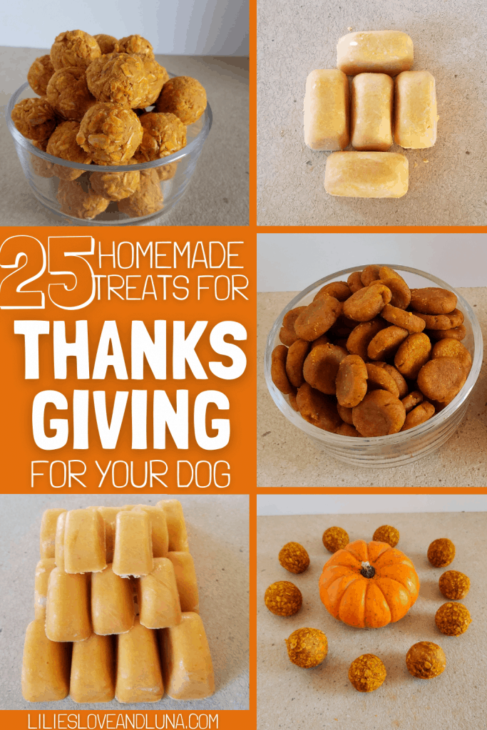 A variety of pumpkin dog treats with the words 25 homemade treats for Thanksgiving for your dog.