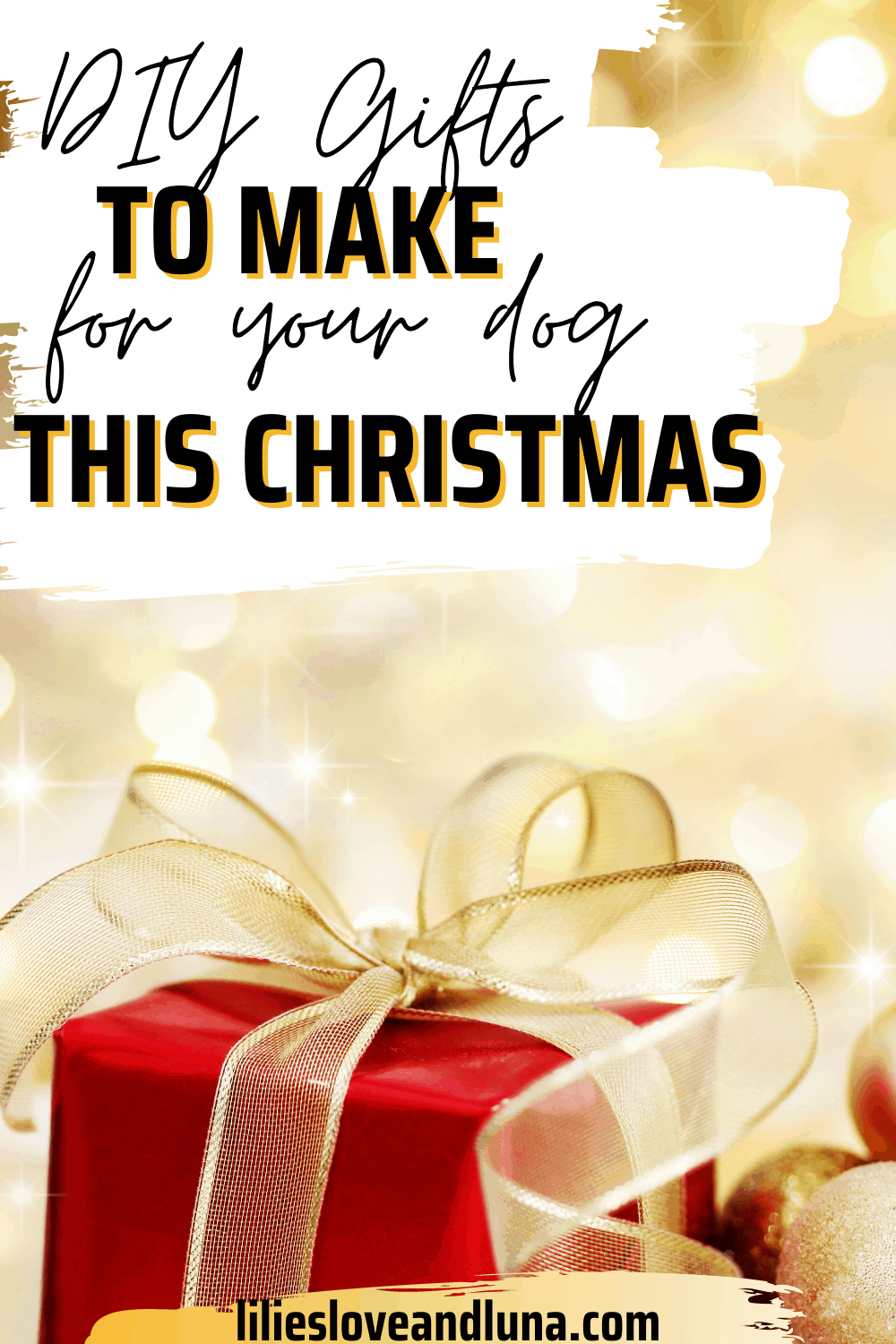 A gift with the words DIY gifts to make for your dog this Christmas.