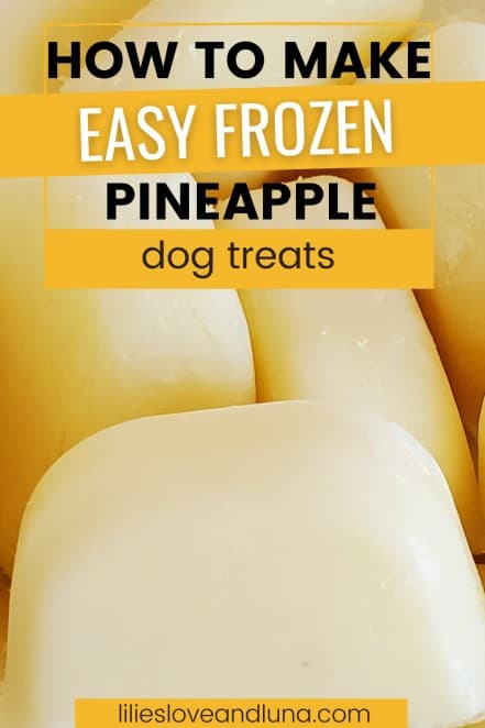 The words how to make easy frozen pineapple dog treats with ice cube shaped treats in the background.