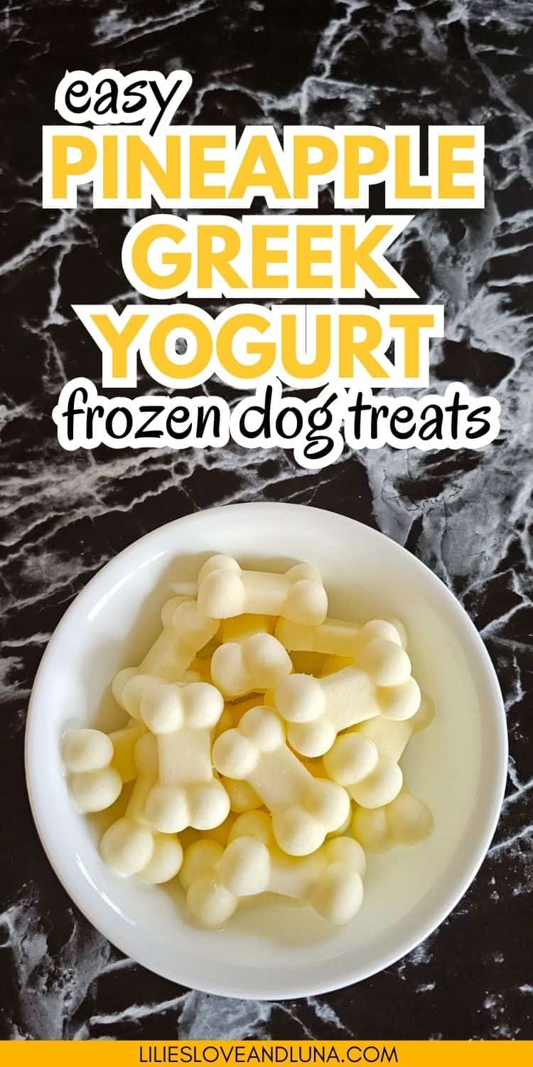 A bowl filled with small bone-shaped frozen dog treats made from pineapple and Greek yogurt sits on a marble surface.