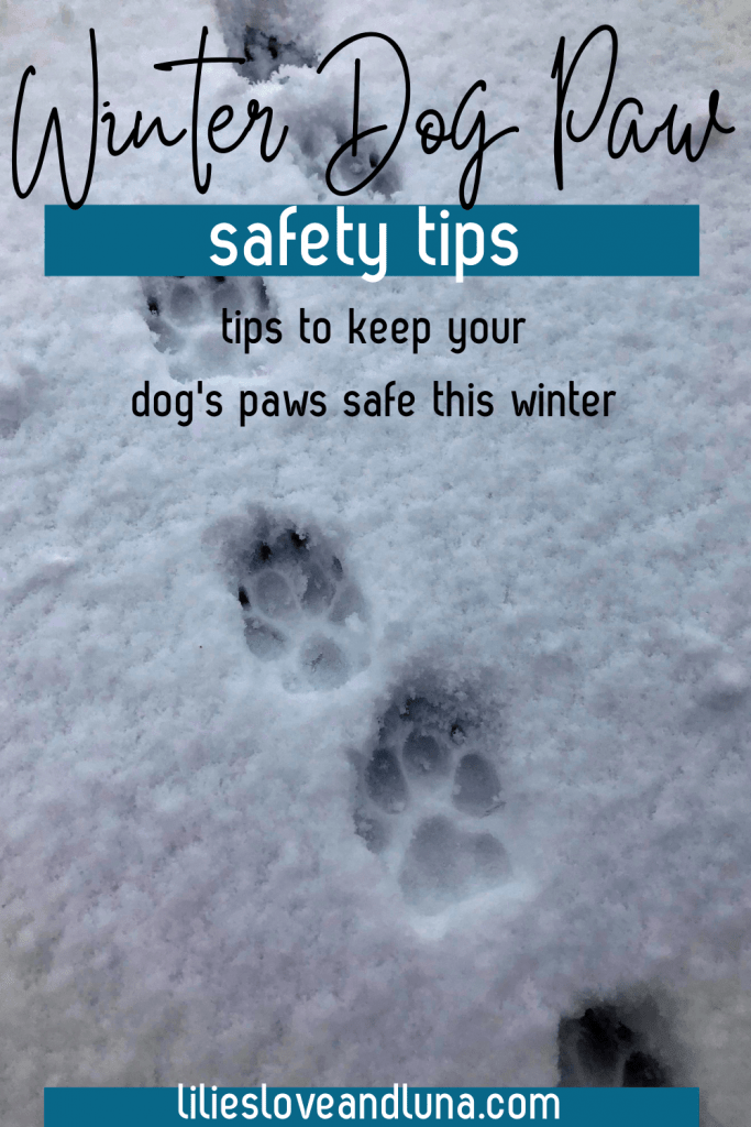 Paw prints in snow with the words Winter Dog Paw safety tips, tips to keep your dog's paws safe this winter.