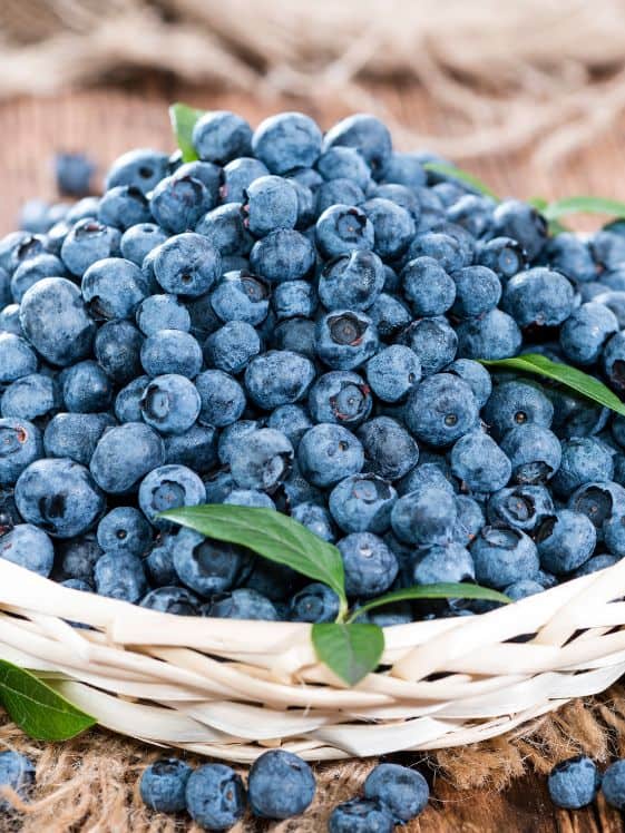 A bowl of blueberries.