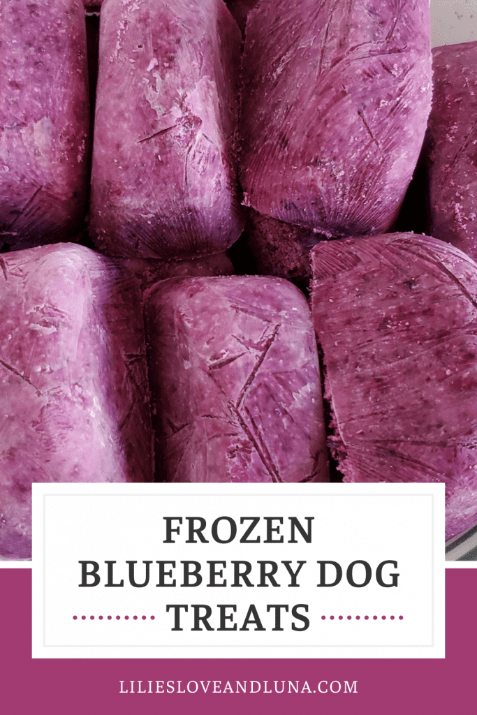 Pin image of paw shaped frozen blueberry dog treats