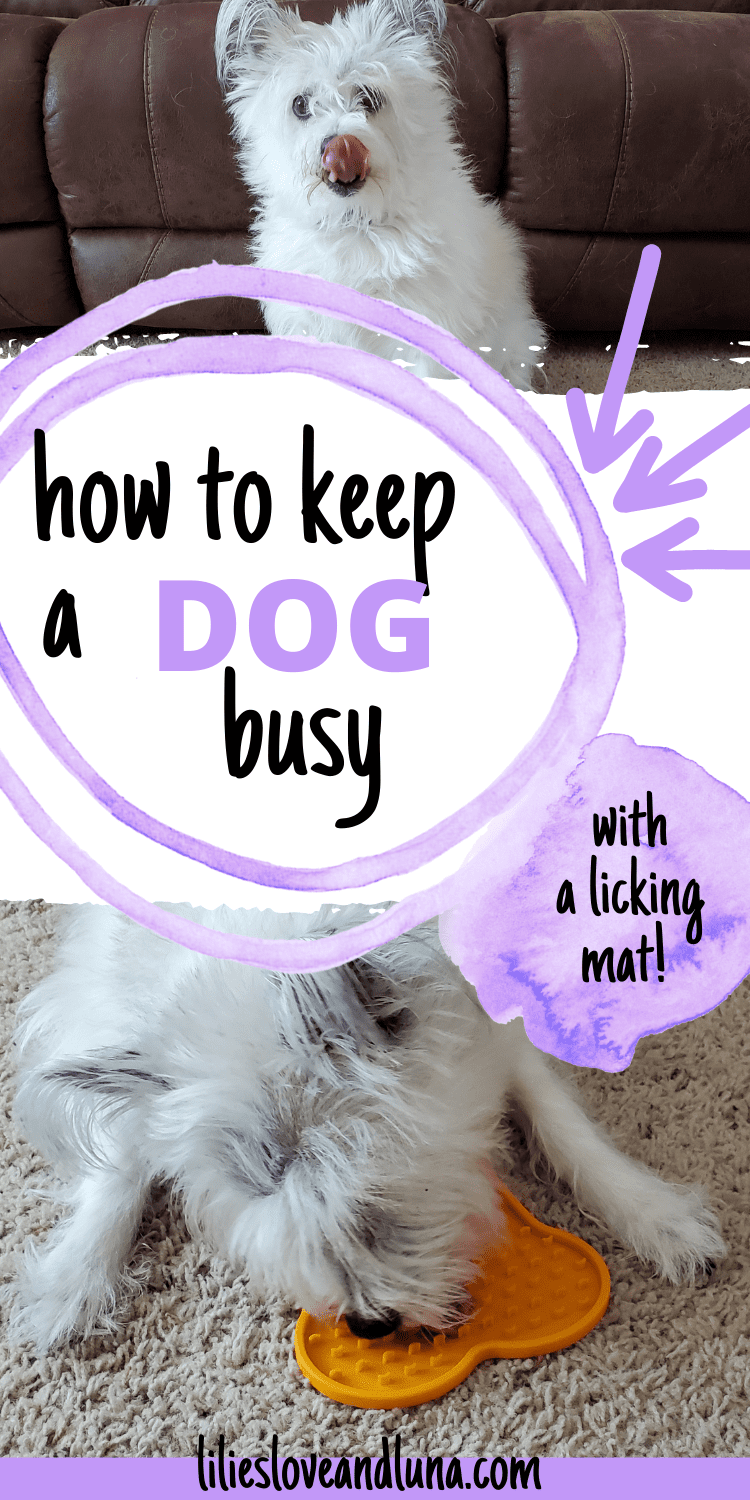 Benefits of Lick Mats for Dogs Lilies, Love, and Luna